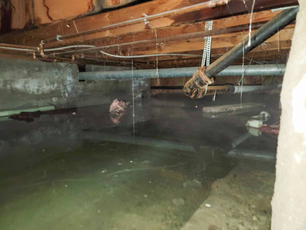 Best Commercial water damage restoration  in Mcconnelsville, OH