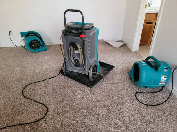 Best 24/7 water damage repair  in Mcconnelsville, OH