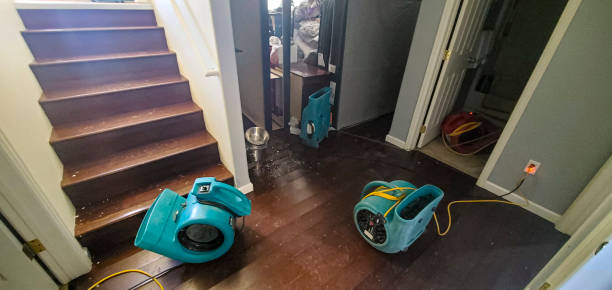 Best Water damage restoration near me  in Mcconnelsville, OH
