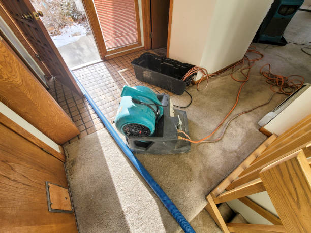 Best Water damage contractors near me  in Mcconnelsville, OH