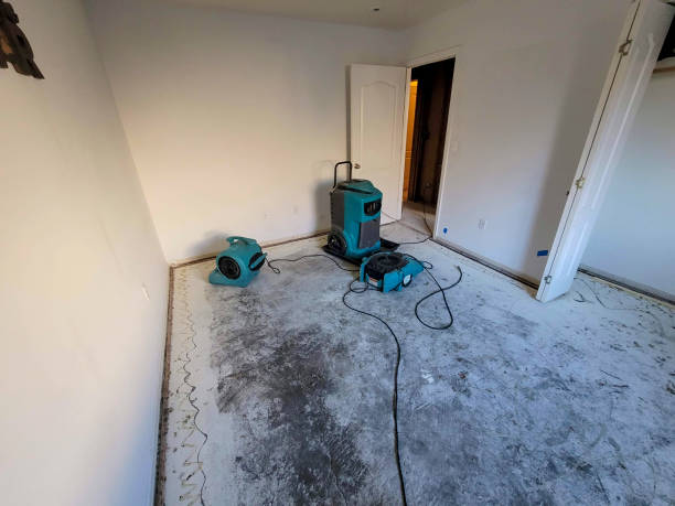 Best Mold removal after water damage  in Mcconnelsville, OH