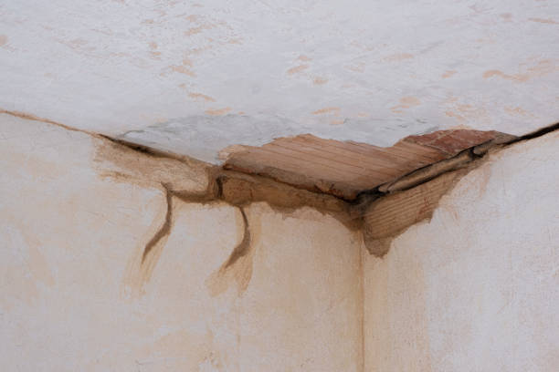 Best Carpet water damage restoration  in Mcconnelsville, OH