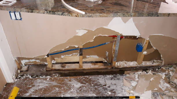 Best Fire Damage Restoration  in Mcconnelsville, OH