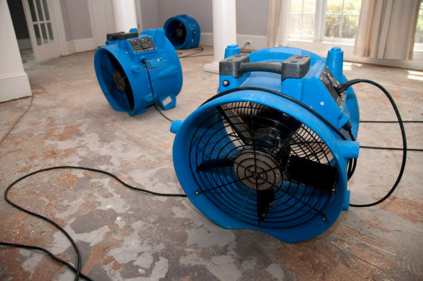 Best Water damage mitigation services  in Mcconnelsville, OH