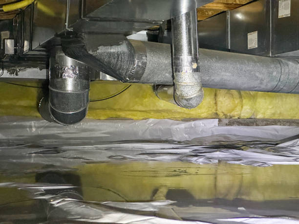 Best Professional water damage repair  in Mcconnelsville, OH