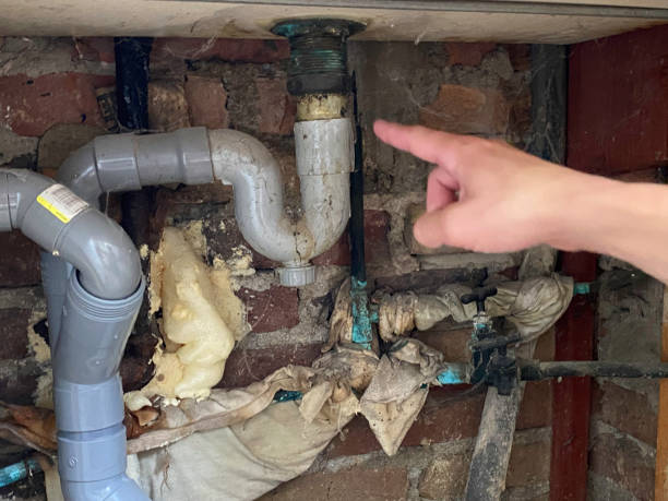 Best Water damage cleanup near me  in Mcconnelsville, OH