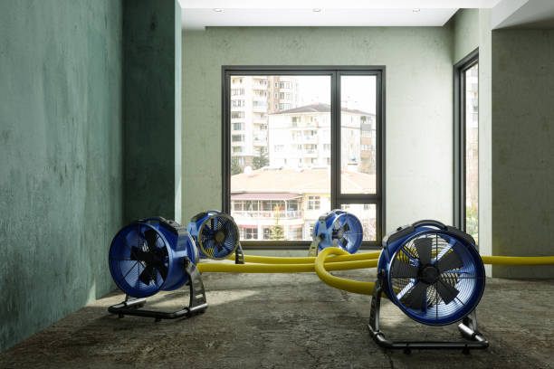 Best Water damage restoration near me  in Mcconnelsville, OH